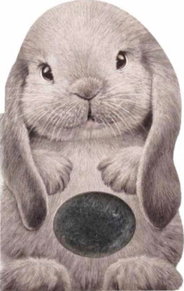 Furry Bunny - ToyTime