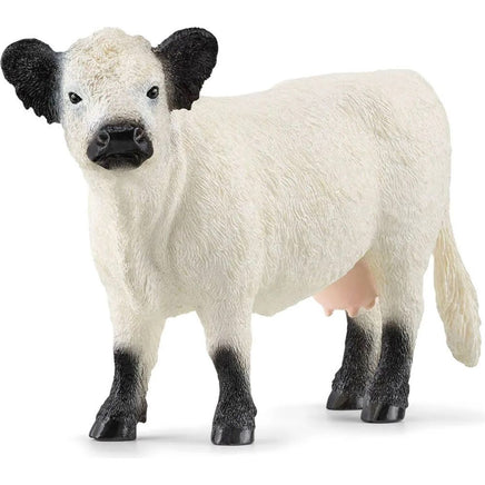 Galloway cattle 13960 - ToyTime