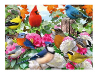Garden Birds 500pc Puzzle - ToyTime