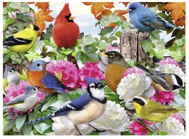 Garden Birds 500Pcs Puzzle - ToyTime