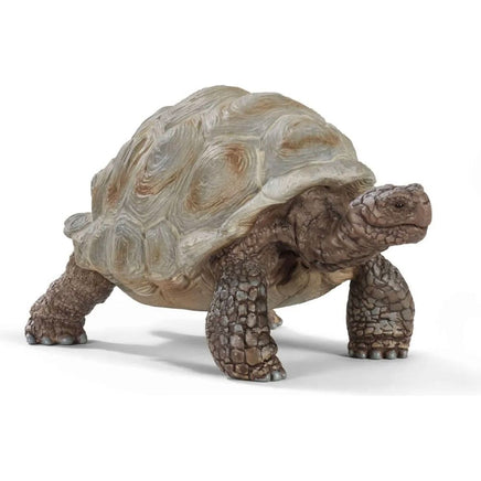 Giant Tortoise 14824 - ToyTime