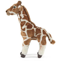 Giraffe Medium AN331 - ToyTime