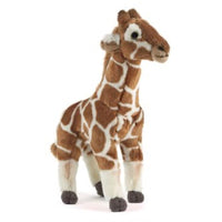 Giraffe Medium AN331 - ToyTime