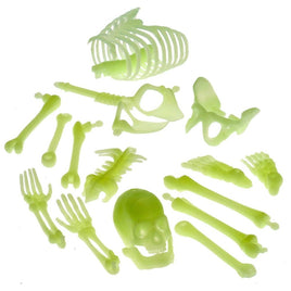 Glow in the dark box of bones - ToyTime