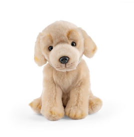 Golden Lab Puppy with Sound - ToyTime