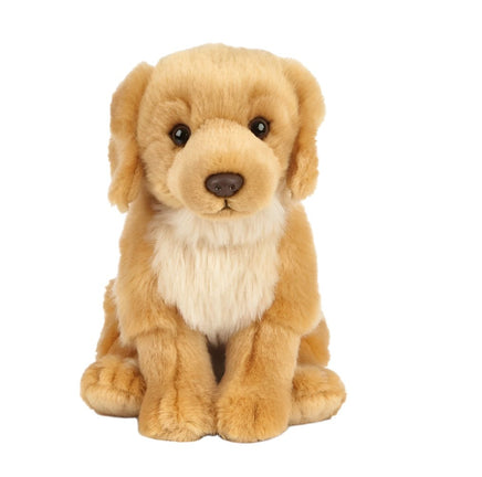 Golden Retriever - ToyTime