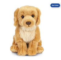 Golden Retriever - ToyTime