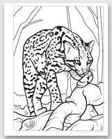 Great Amazon Rainforest coloring Book with stickers - ToyTime