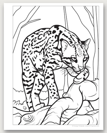 Great Amazon Rainforest coloring Book with stickers - ToyTime