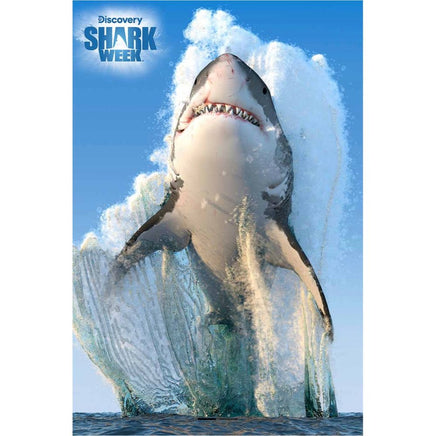 Great White Shark Week 3D Jigsaw Puzzle - ToyTime