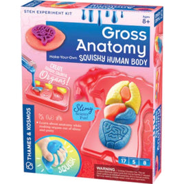 Gross Anatomy: Make - Your - Own Squishy Human Body - ToyTime