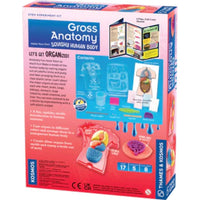 Gross Anatomy: Make - Your - Own Squishy Human Body - ToyTime