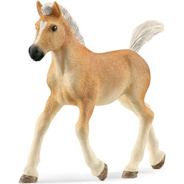 Haflinger foal 13951 - ToyTime