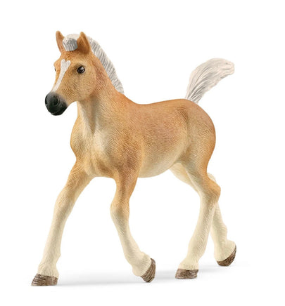 Haflinger Foal 13951 - ToyTime