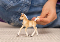 Haflinger Foal 13951 - ToyTime