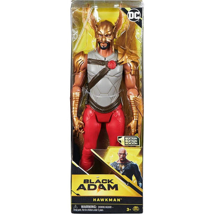 Hawkman Action Figure - ToyTime