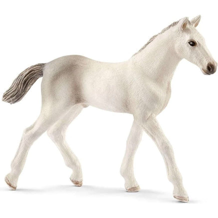 Holsteiner Foal 13860...@Schleich - ToyTime