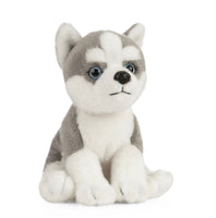 Husky Puppy - ToyTime