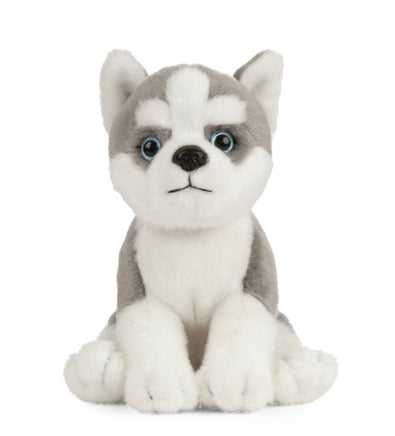 Husky Puppy - ToyTime
