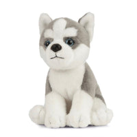 Husky Puppy - ToyTime