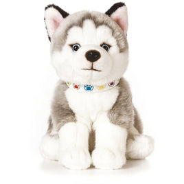 Husky Puppy AN524 - ToyTime