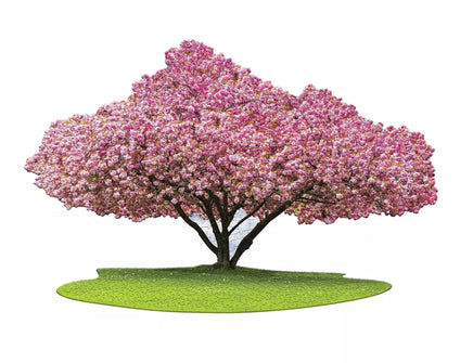 I am Cherry Blossom 1000pc Puzzle - ToyTime