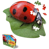 I Am Lil Ladybug 100pc Puzzle - ToyTime