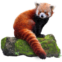 I Am Lil Red Panda 100pc Puzzle - ToyTime