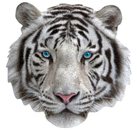 I am White Tiger 300pc Puzzle - ToyTime