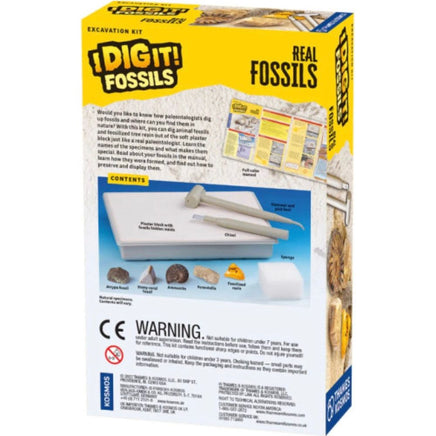 I Dig It! Fossils - Real Fossils Excavation Kit - ToyTime