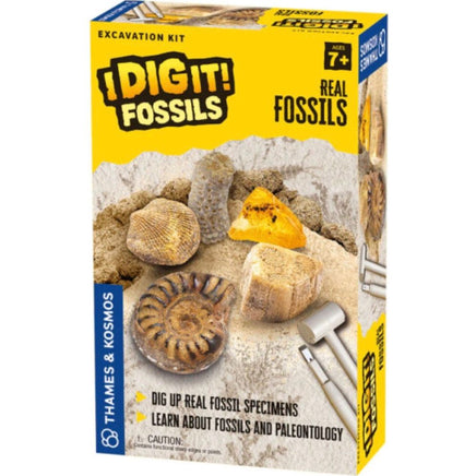 I Dig It! Fossils - Real Fossils Excavation Kit - ToyTime