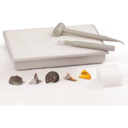 I Dig It! Fossils - Real Fossils Excavation Kit - ToyTime