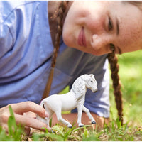 Icelandic Pony Mare...@Schleich - ToyTime