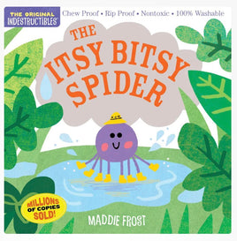 Indestructibles: The Itsy Bitsy Spider - ToyTime