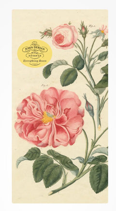 John Derian Notepad - ToyTime