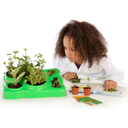 Kids First Botany - Experimental Greenhouse science kit - ToyTime