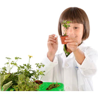 Kids First Botany - Experimental Greenhouse science kit - ToyTime