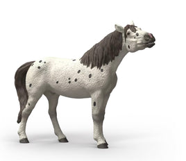 Knabstrupper Gelding 14916 - ToyTime