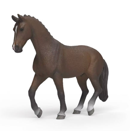 KWPN Gelding Horse 14919 - ToyTime