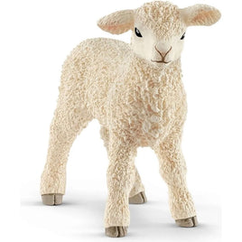 Lamb 13883 - ToyTime