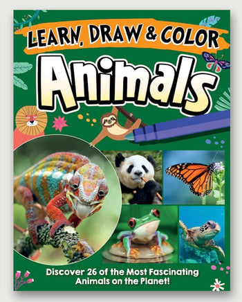 Learn draw and color animals - ToyTime