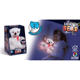 Light Up Bear - ToyTime