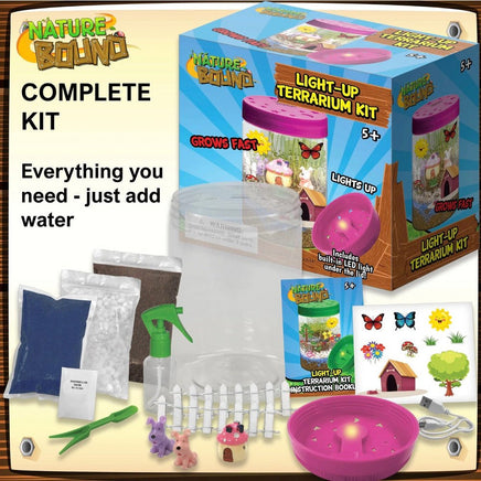 Light Up Terrarium Kit - ToyTime