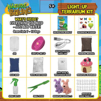 Light Up Terrarium Kit - ToyTime