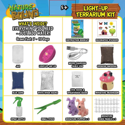 Light Up Terrarium Kit - ToyTime