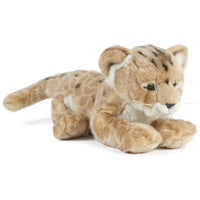 Lion Cub AN322 - ToyTime