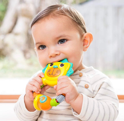 Lion Teether - ToyTime