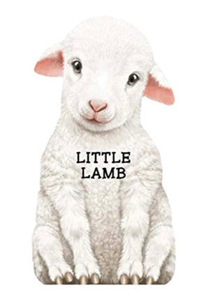 Little lamb - ToyTime