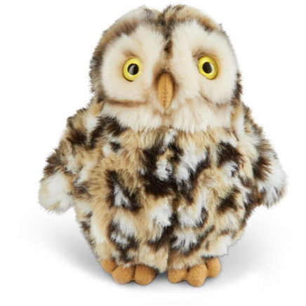 Little Owl AN528 - ToyTime