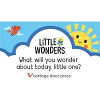 Little Wonders Bugs - ToyTime